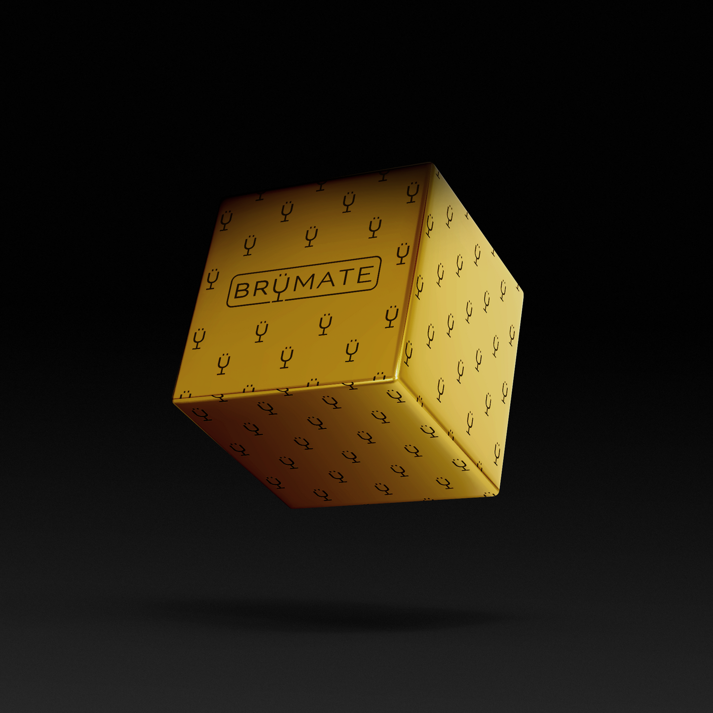 premium-mystery-item-39-70-value-r1 IMG-1548.png